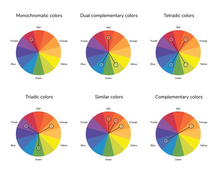 How to use the color wheel for labels and packaging.