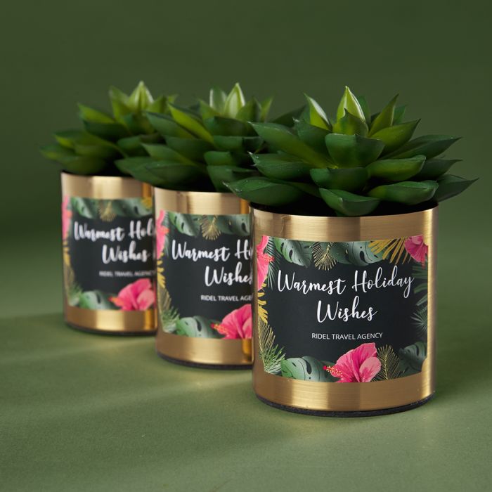 Live plants in inexpensive containers make great client gifts