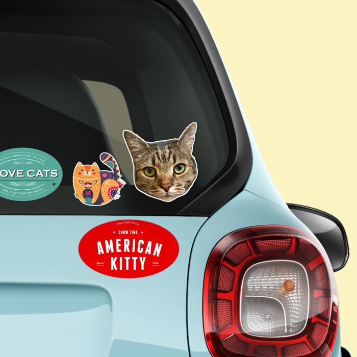 Create custom bumper stickers to hand out as gifts or sell with branding