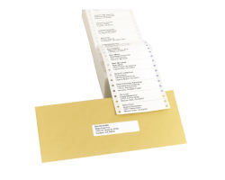 Avery 4013 Computer Labels Template