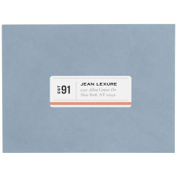 Avery 5160 Easy Peel Address Labels 1