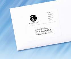 Avery Shipping Label 5164 Juleteagyd