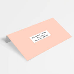 Avery Address Labels for Copiers 1