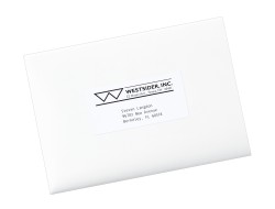 Avery Shipping Labels For Copiers Permanent Adhesive 2 X 4 1 4 1 000 Labels 5352