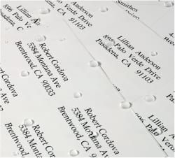 Avery Weatherproof Mailing Labels Trueblock Technology Permanent Adhesive 1 X 2 5 8 1 500 Labels 5520