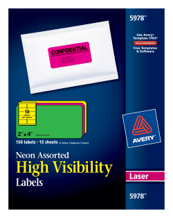 Avery High Visibility Labels Assorted Neon Colors 450 Labels