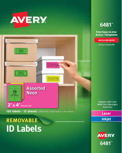 Avery High-Visibility Removable ID Labels Laser/Inkjet 2 x 4 Asst. Neon 120/Pack