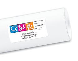 Avery Color Printing Labels Sure Feed Technology Permanent Adhesive Matte 2 X 4 200 Labels 8253