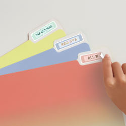 File folder labels removable