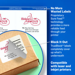 Avery Trueblock Shipping Labels Sure Feed Technology Permanent Adhesive 2 X 4 100 Labels 18163