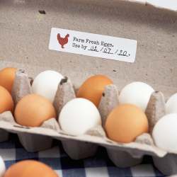 Avery® File Folder Labels with TrueBlock® Technology ...