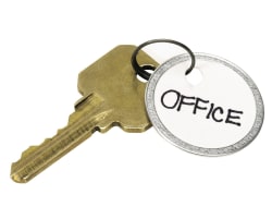 Avery Key Tags Split Ring 1 1 4 Diameter 50 Tags 11025