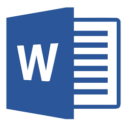 Microsoft Word, Software