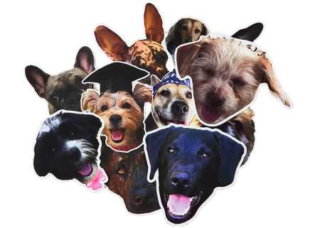 Order dog stickers online