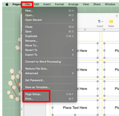 Screenshot of Apple Pages program menu options. The 'File' tab at the top is highlighted and open, and in its dropdown menu, the last two options 'Page Setup...' and 'Print...' are highlighted