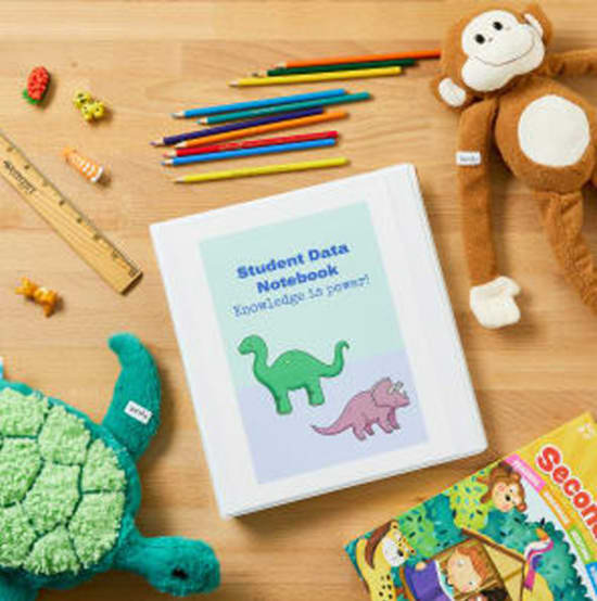 Top BTS Picks to Organize 1st-3rd Graders