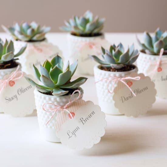 Creative Ideas For The Best Wedding Favors