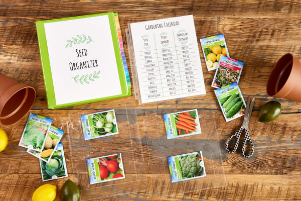 A rustic wooden table with a bright green Avery binder labeled Seed Organizer. Vegetable seed packets and a gardening calendar are shown organized in sheet protectors and laid out on the table surrounded by fresh lemons and limes, scissors and gardening pots. 