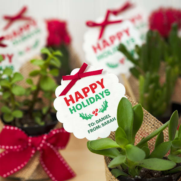 Fresh herbs Christmas gift for coworkers features Avery scalloped tag 80511. The design is red and green with a cute holly graphic and reads, "Happy Holidays" with personalized "to and from" text. The tag is on a stick in small herb plants. 