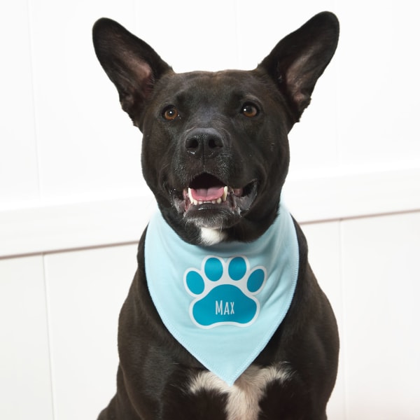 A bandanna is personalized with a paw print graphic and the name, Max using Avery 3270 iron-on fabric transfer. 