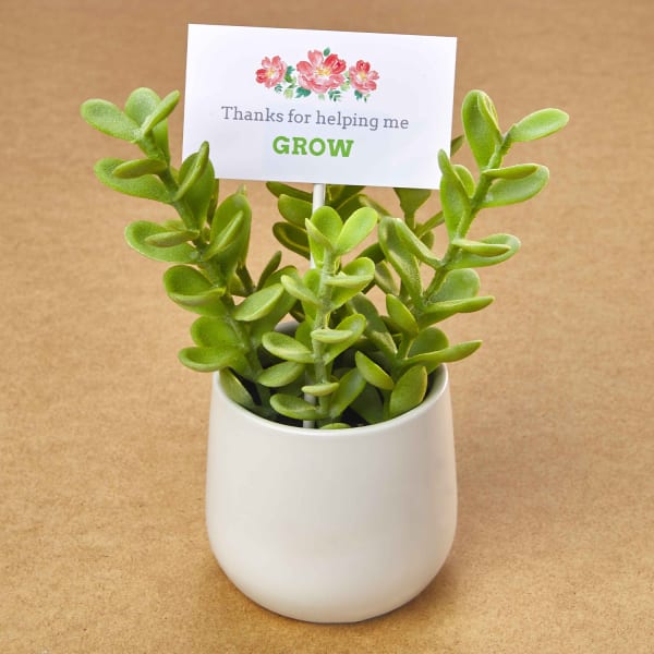 Avery printable business cards 28878are used to make a DIY plant tag for a cute mini succulent. The card reads, "Thanks for helping me grow"