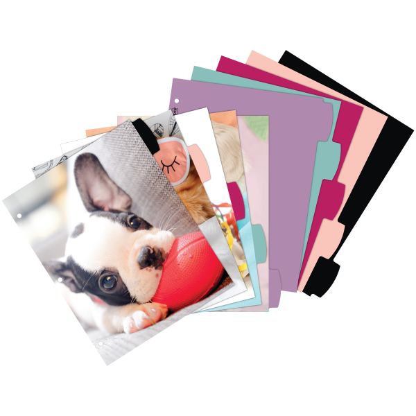 Product 24943 Image 2