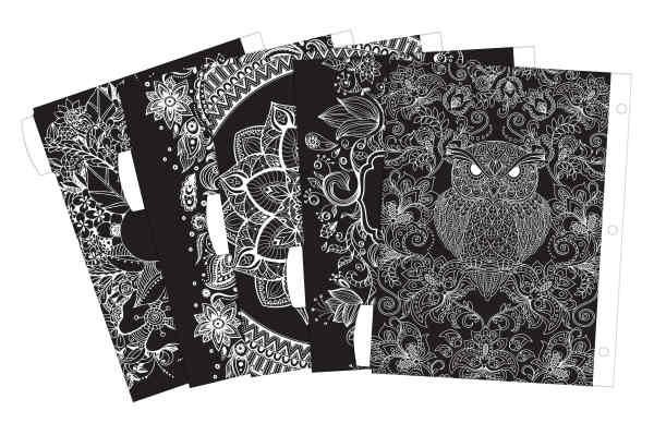 Product 24976 Image 4