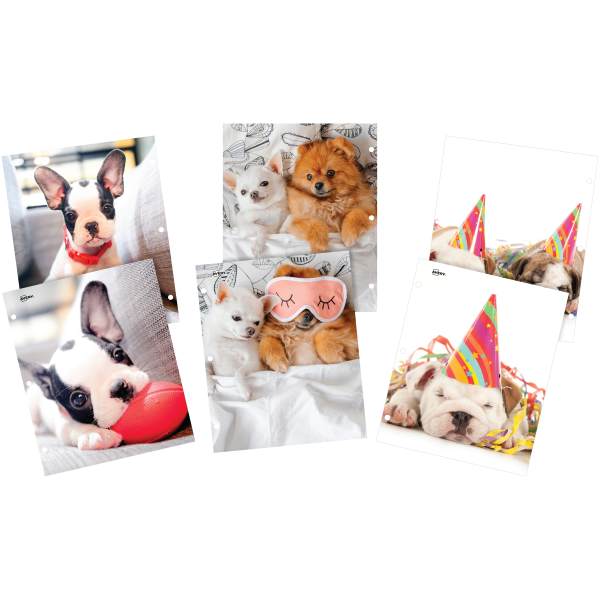 Product 47899 Image 2