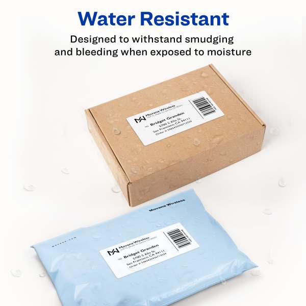 Product 4191 Image 4