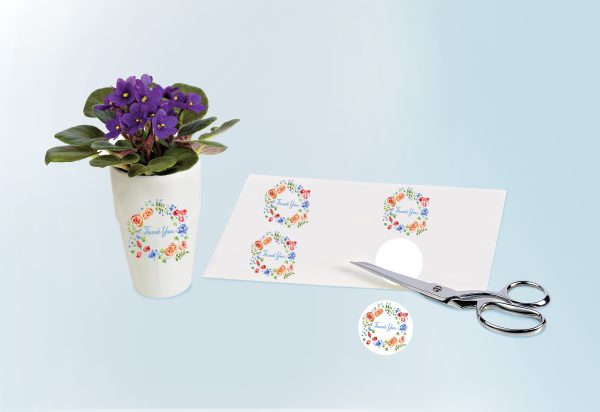 Product 4397 Image 4