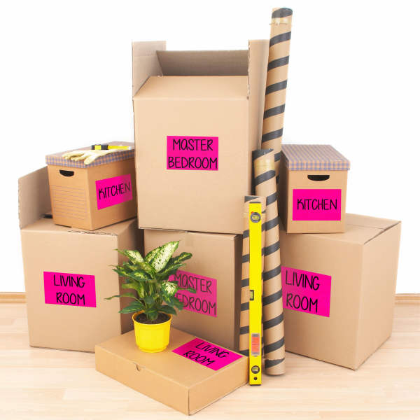 Avery 2\"x 4\" Neon Shipping Labels With Sure Feed, Neon Green Labels For Laser Printers 1 000 Neon Labels 5976