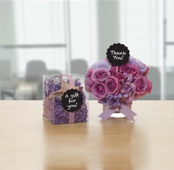 Product 41573 Image 2