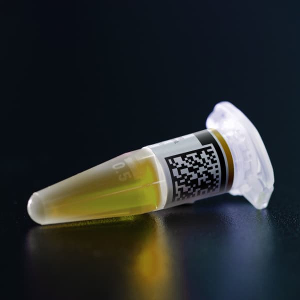 Product 60518 Image 7