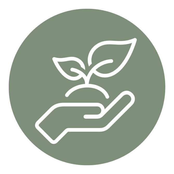 The image shows an icon of a hand holding a plant with small leaves.