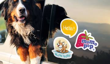 Car Stickers