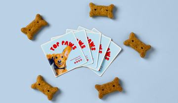 Dog Stickers