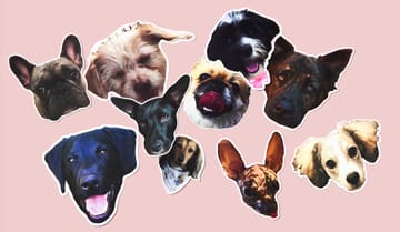 Stickers for dogs