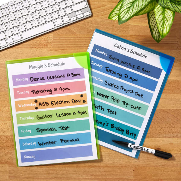 maggie and calvin's weekly schedule for school