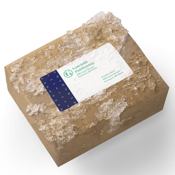 Cardboard box with weatherproof shipping label ice
