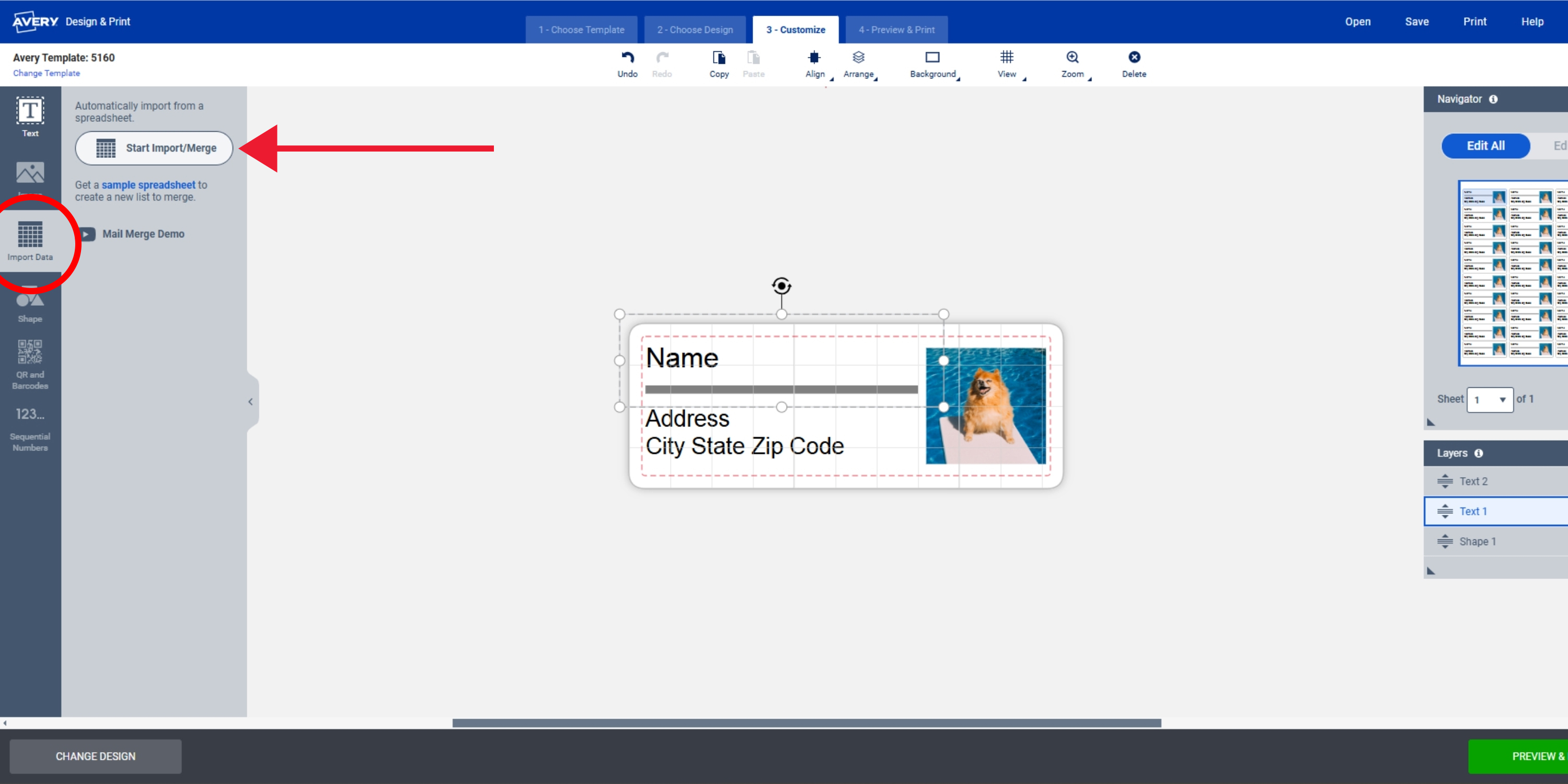 Screenshot of the Avery Design & Print Online editor showing the 'Start Import/Merge' button and import data icon highlighted, with a partially customized address label featuring a photo of a dog, demonstrating how to create photo address labels or return address labels with a picture using mail merge.