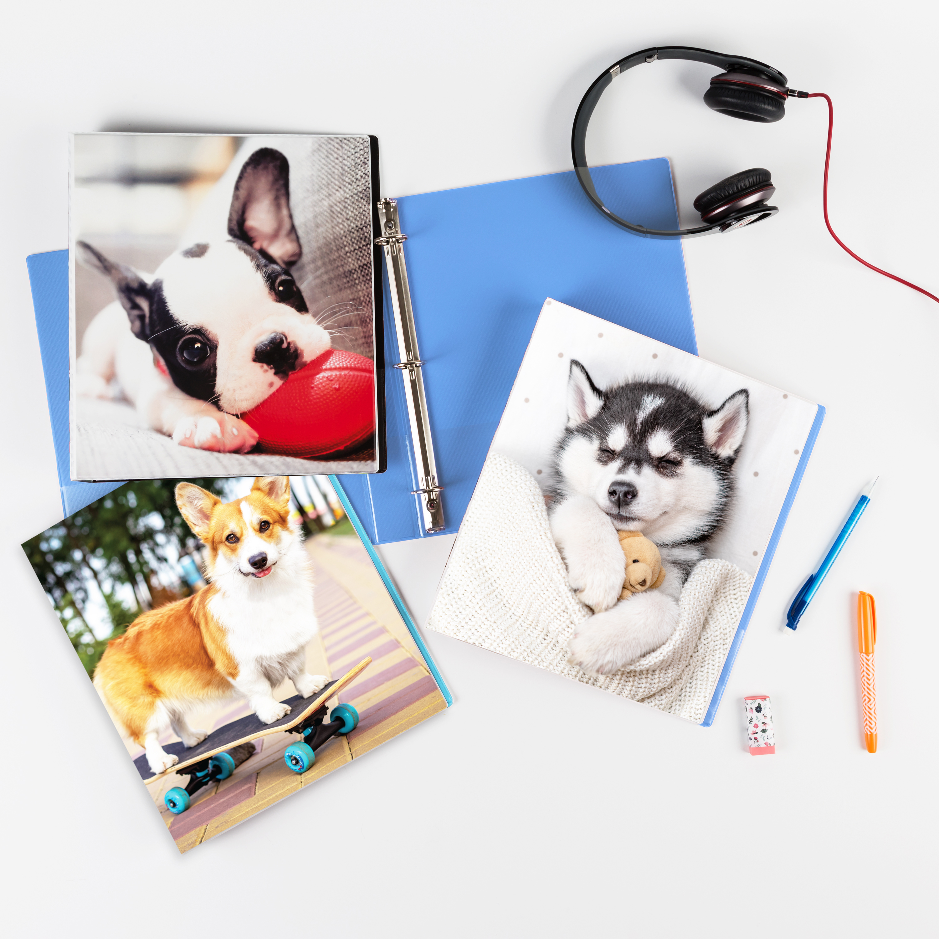 A top-down image of three Avery binders with photographs of cute puppies on them. 