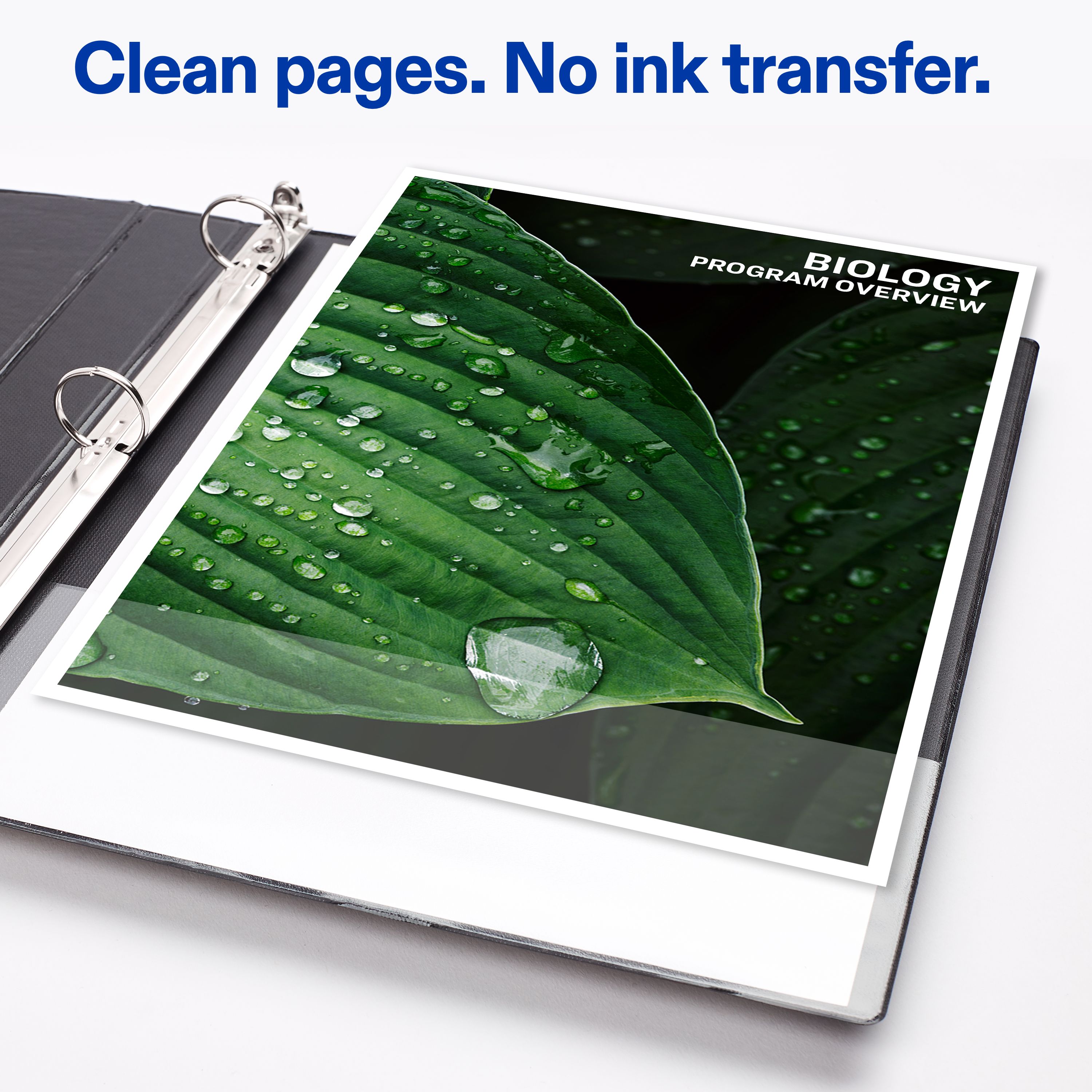 Product 17167 Image 6