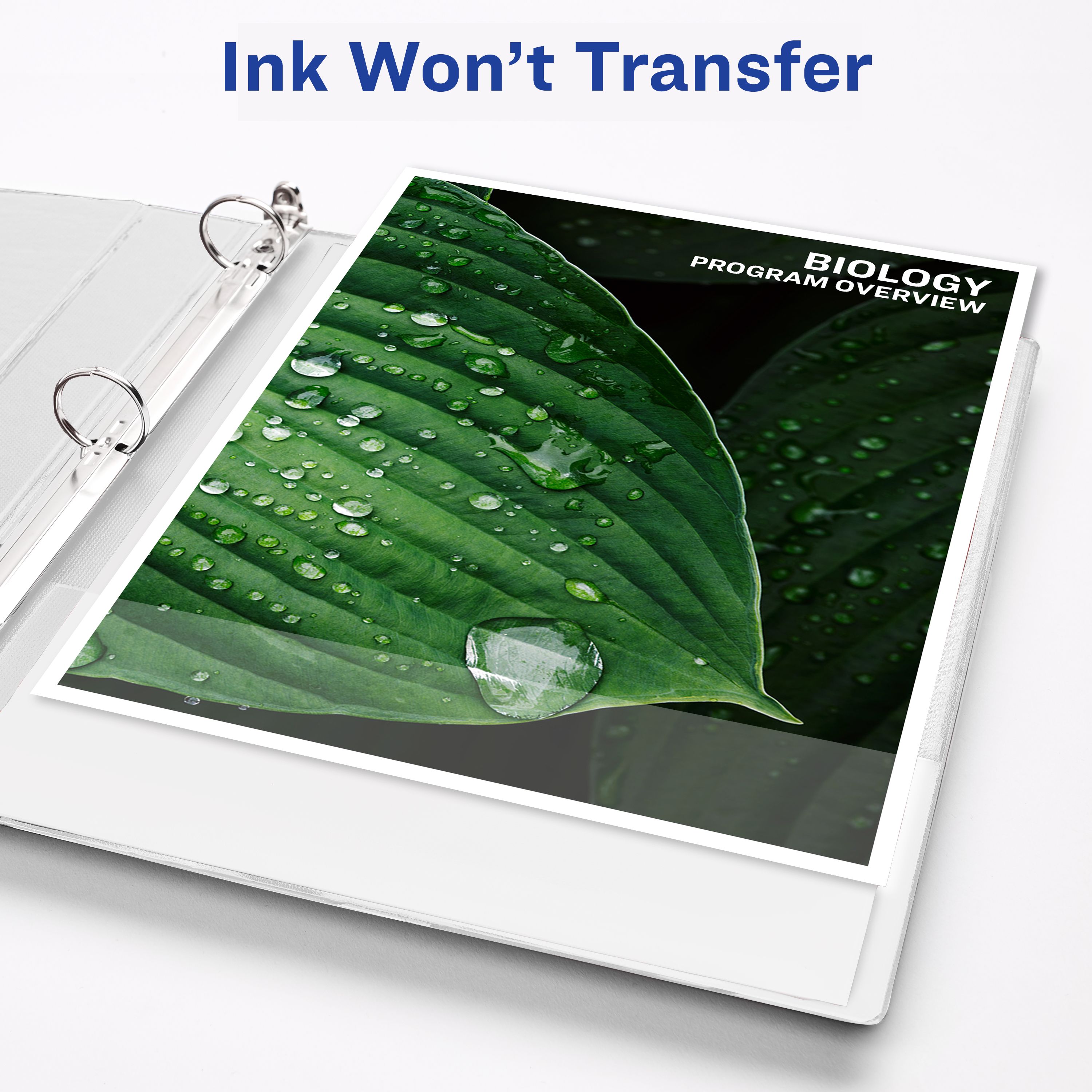 Product 17702 Image 6