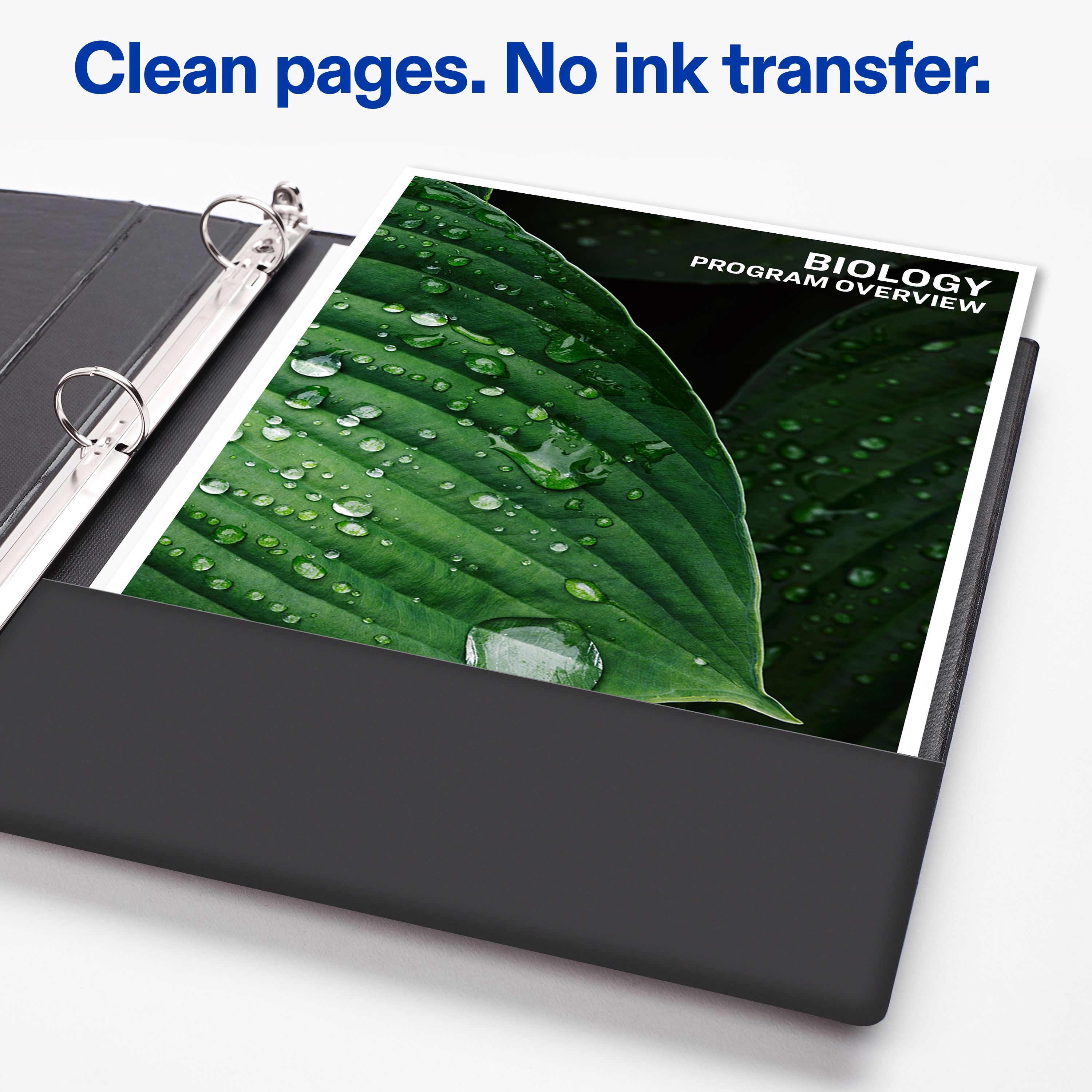 Product 27257 Image 5