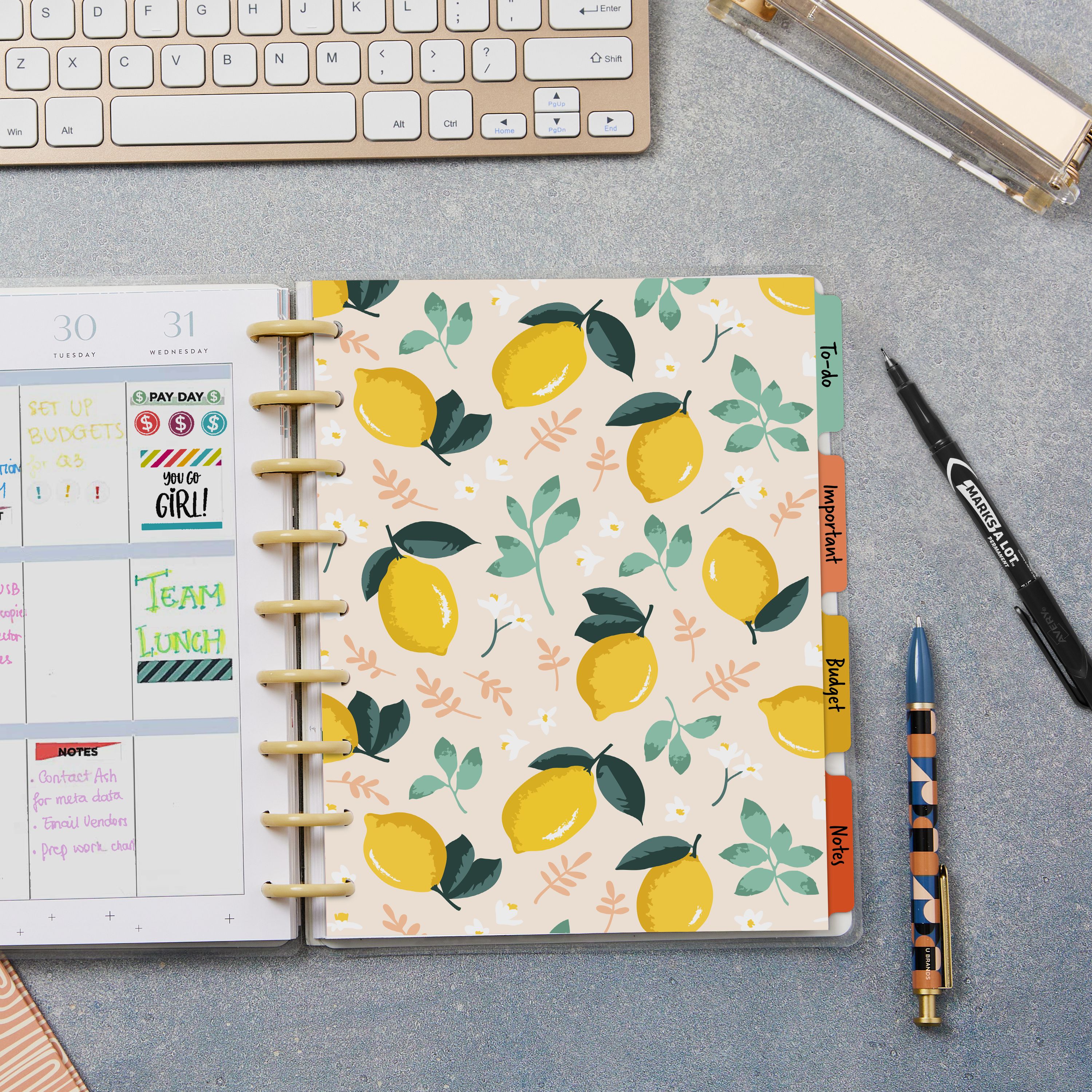 Product 25483 Image 7