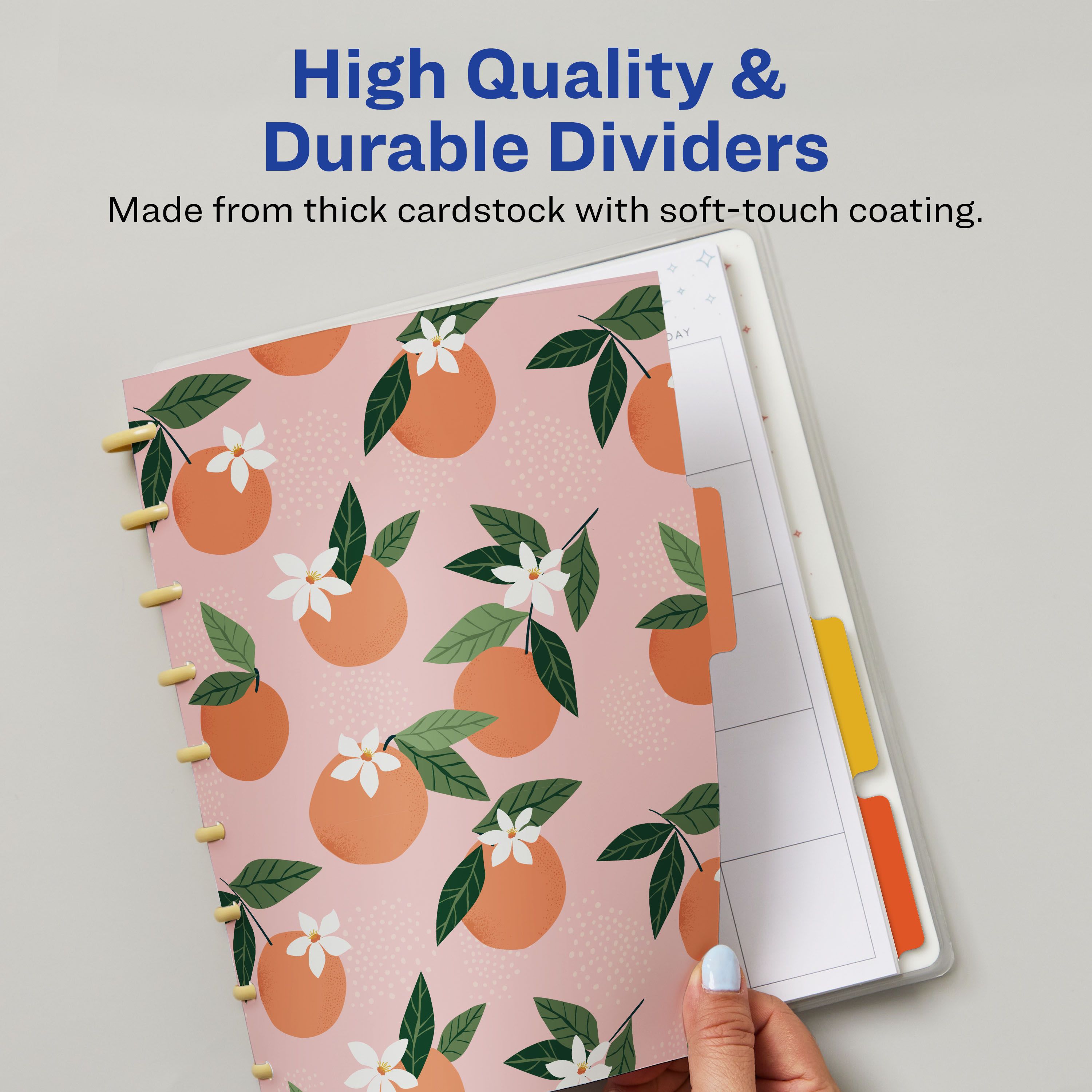 Product 25483 Image 5