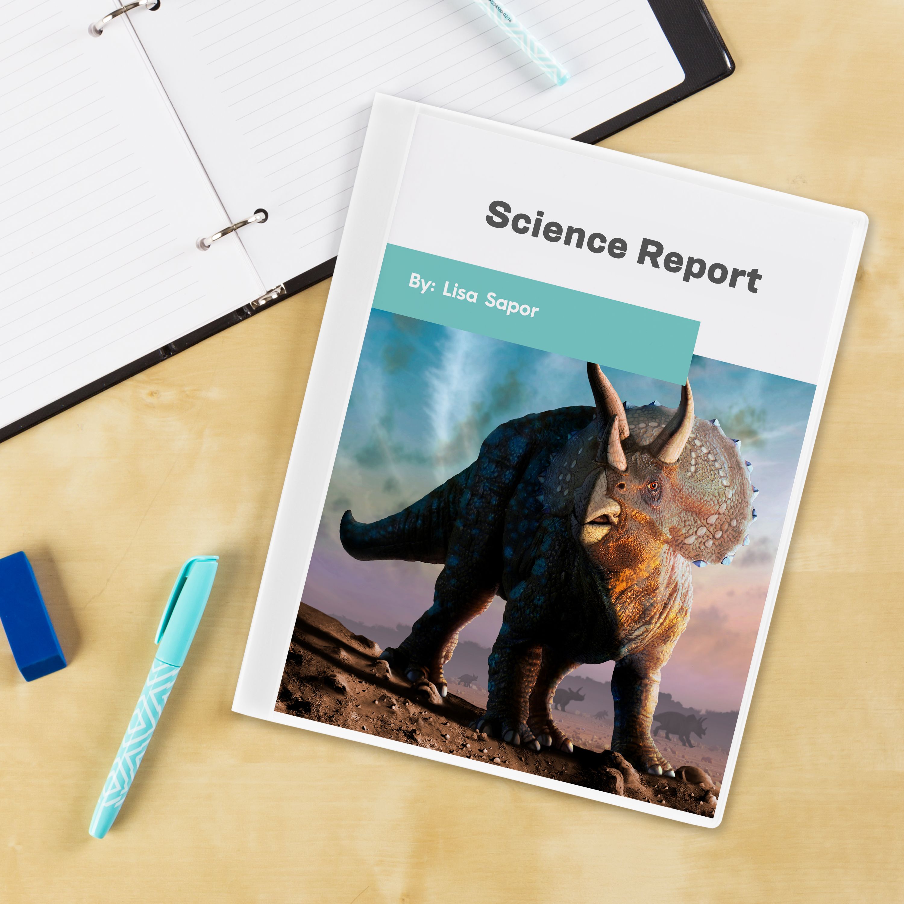 Product 47671 Image 8