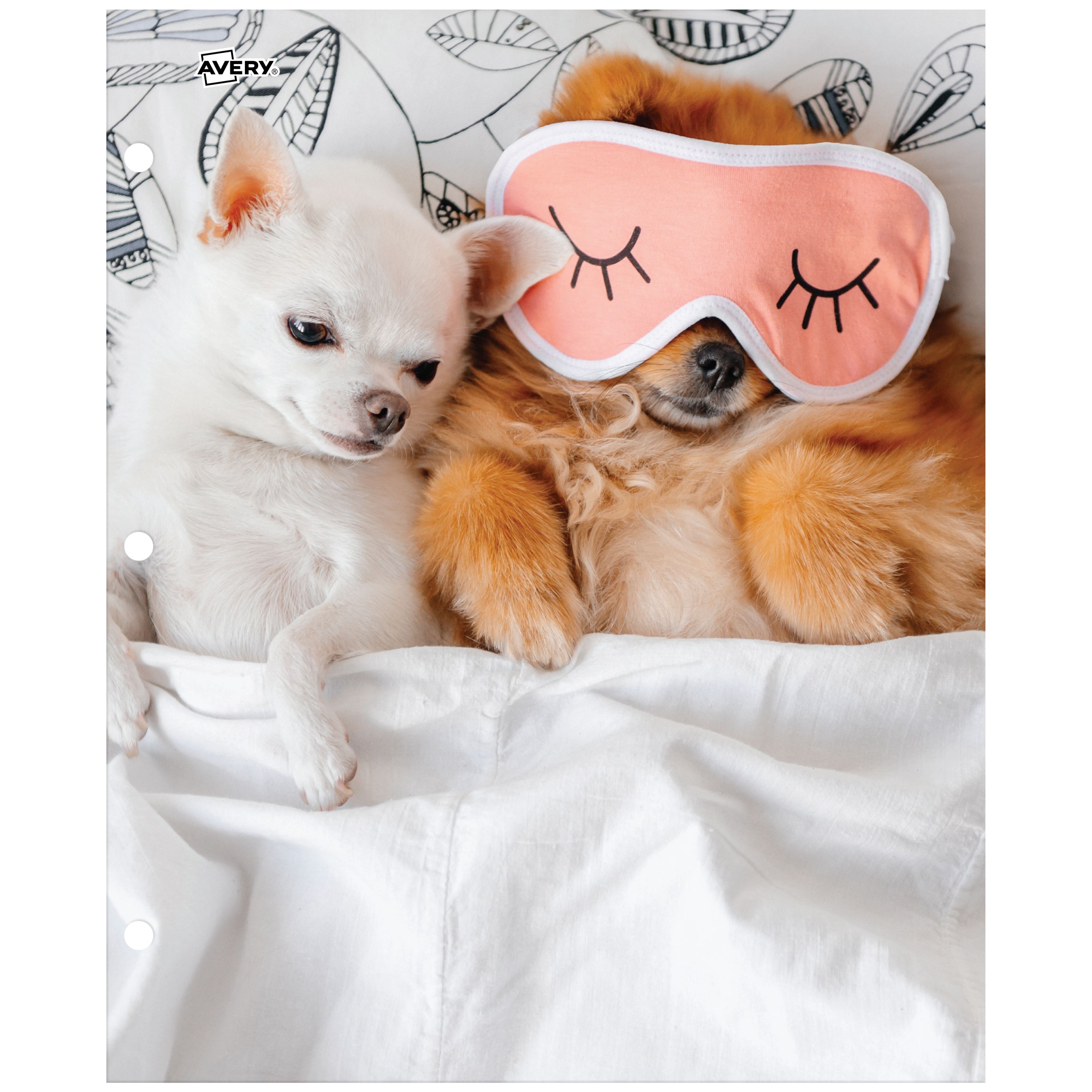 Product 47899 Image 5