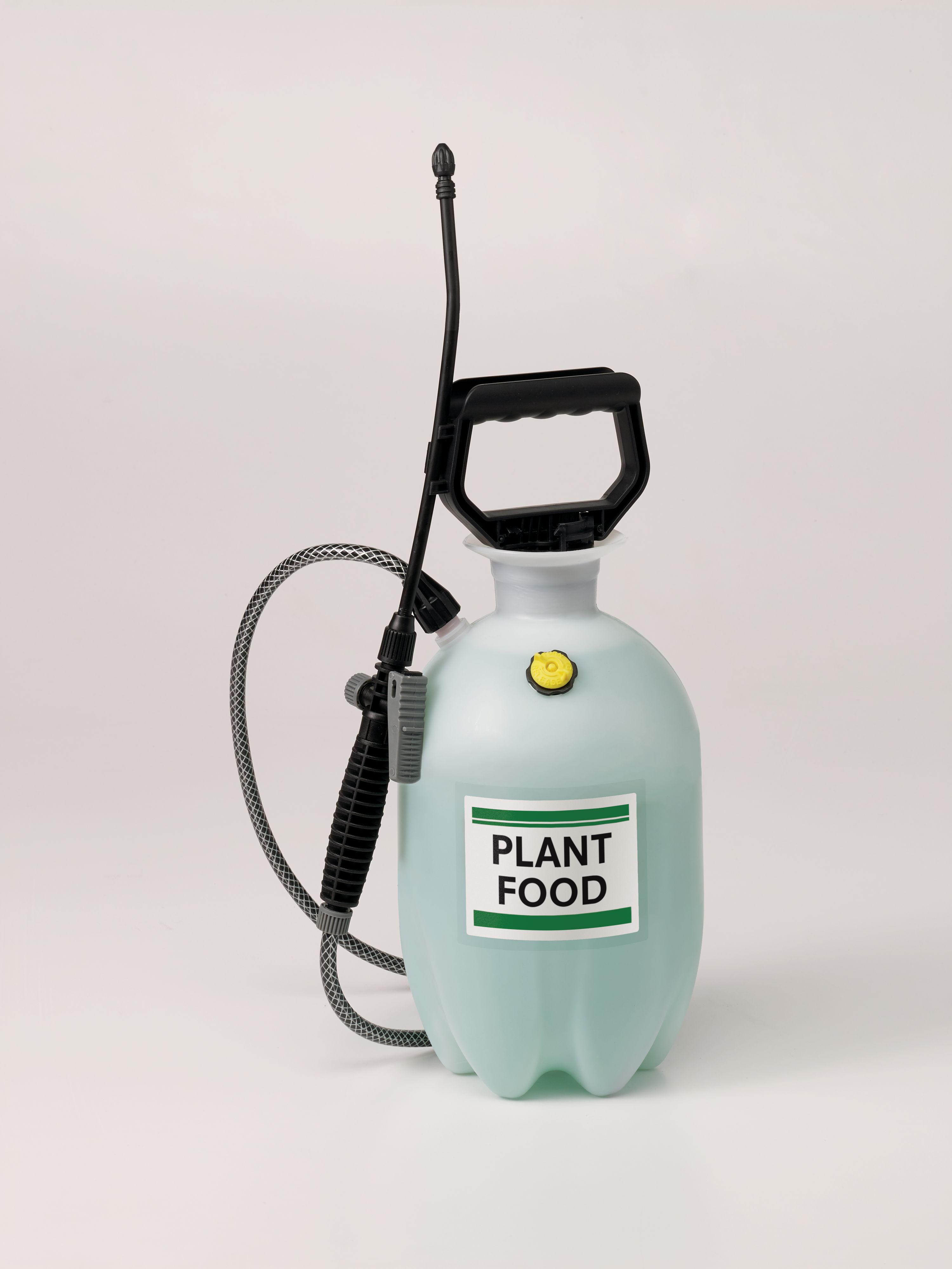 Product 00751 Image 5