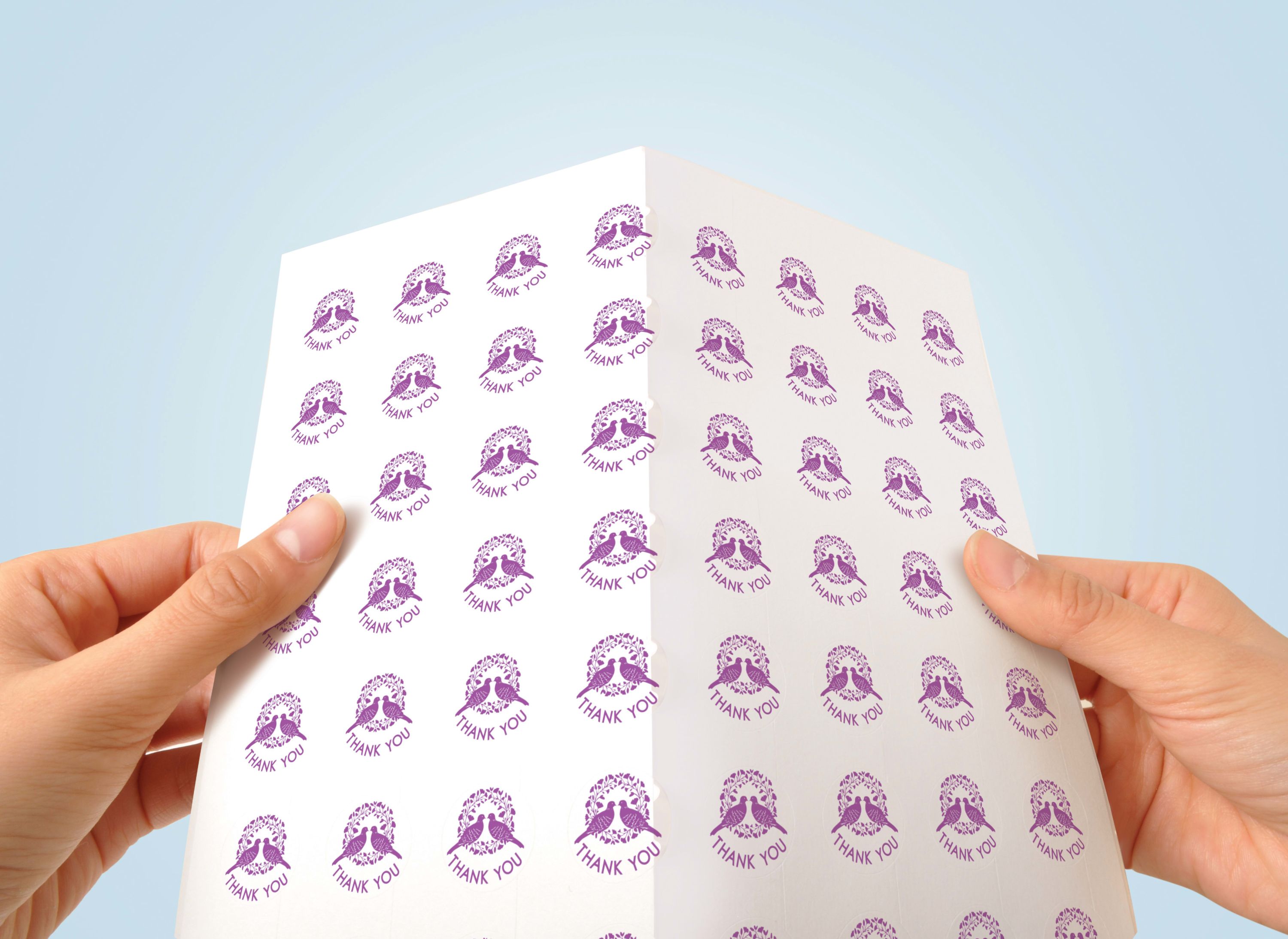 Product 34222 Image 2